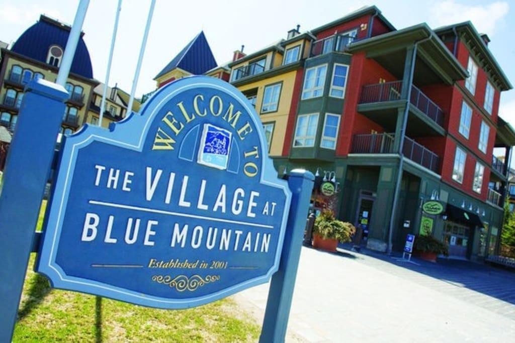 Blue Mountain Suites Blue Mountains Exterior photo